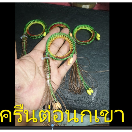 ครืนต่อนกเขา ครืนดักนกเขาใหญ่ 25หลัก25บ่วง ต่อดินเข้างายเข้าไว