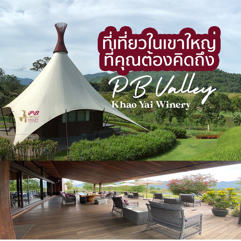PB Valley พีบี วัลเล่ย์ Gift Voucher บัตร ทัวร์ ชม ไร่องุ่น + กระบวนการผลิตไวน์ องุ่น เปิดให้บริการท