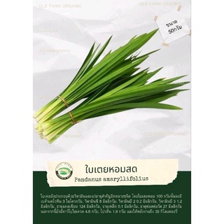 ใบเตยหอมออแกนิคเก็บสด