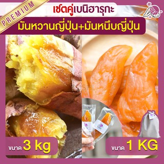 แพ็คคู่ถูกกว่า มันหวานญี่ปุ่น เบนิฮารุกะ 3kg + มันหนึบ 1kg  มันหวานญี่ปุ่นนำเข้า มันหวานญี่ปุ่นเบนนิฮารุกะ มันหนึบ