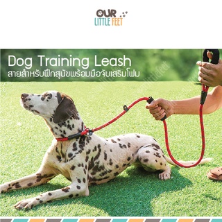 สายจูงสำหรับฝึก 2มือจับ สายจูงคล้องคอไม่ต้อง ใส่ปลอกคอ