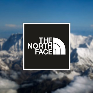 sticker สติ๊กเกอร์แคมป์ปิ้ง ลาย THE NORTH FACE กันน้ำ กันแดด สติ๊กเกอร์ 3M สติ๊กเกอร์ติดได้ทุกที่