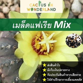 เมล็ดแฟเรีย Mix เมล็ดแคคตัส เมล็ดกระบองเพชร