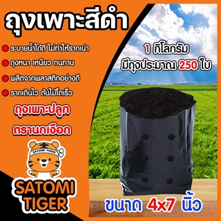 ถุงเพาะกล้า ขนาด 4x7 ตรานกเงือก หนัก 1 กิโลกรัม   ถุงปลูก ถุงชำ เพาะชำ ถุงเพาะปลูก  ถุงปลูกต้นไม้ ถุงดำปลูกต้นไม้