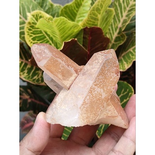 🦋 ผลึกควอตซ์  ( Quartz Qrystal ) 🌿 ขนาด 330 กรัม ขนาดกำลังดีวางตั้งโชว์สวยๆ