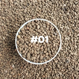 หินภูเขาไฟ (Pumice) 1ลิตร เก็บความชื้น ดินโปร่ง พืชดูดซึมแร่ธาตุสารอาหารได้ดี เป็นที่อยู่ของจุลินทรีย์ดี