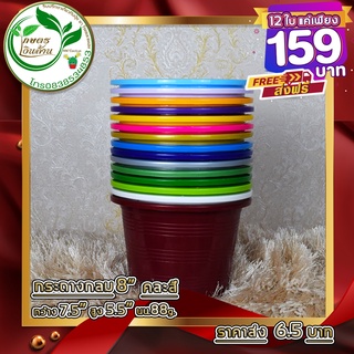 [ส่งฟรี]กระถางเกรดAAA 8 นิ้ว คละสี 12 ใบ 159บาท By.คิม เกษตรเงินล้าน