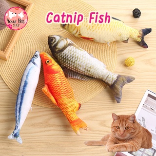 ปลาแคทนิป 20 cm ของเล่นแมว ปลาแมว ตุ๊กตาปลา Fish Catnip แมว เปอร์เซียน สีสวาด แมวไทย