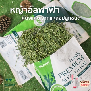 อัลฟาฟ่า 🌿 Wildloft Premium Alfalfa 🌿