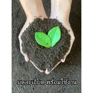 ปลูกผสมมูลไส้เดือน 1 กิโลกรัม สูตรพิเศษจาก "อลังการฟาร์ม" ปลูกอะไรก็โต ดินดีมีชีวิต