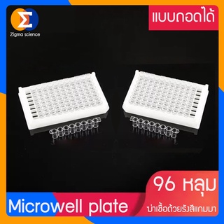 Zigma science - Detachable ELISA Plate, ไมโครเพลท, ไมโครเวลเพลท, ไมโครไทเทอร์เพลท 96 หลุม Strip ถอดได้รูปทรงสี่เหลี่ยม