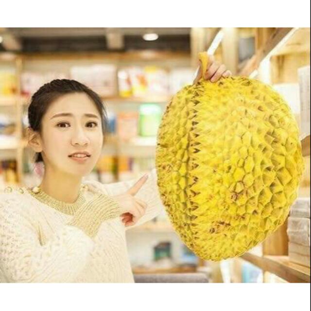 Pun / ❌ส่งฟรี หมอนผ้าห่ม หมอนทุเรียน ส่งฟรี