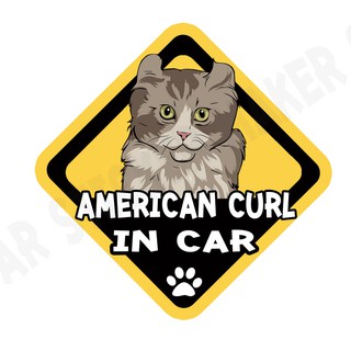 สติกเกอร์ติดรถ สติ๊กเกอร์ติดรถยนต์ สติกเกอร์แมว American Curl cat DGA10