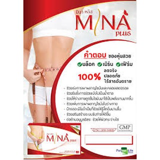 Perfect Life/มินา พลัส MINA Plus ควบคุมน้ำหนัก (30 เม็ด)