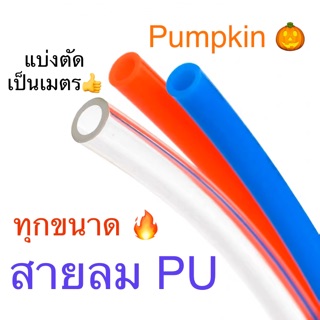 🎃 Pumpkin สายลม PU ทุกขนาด แบ่งตัด