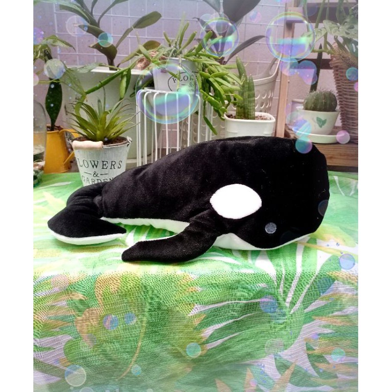 🐬ตุ๊กตาปลาวาฬ วาฬออร์กา วาฬเพชฌฆาต 💙Orca Whale