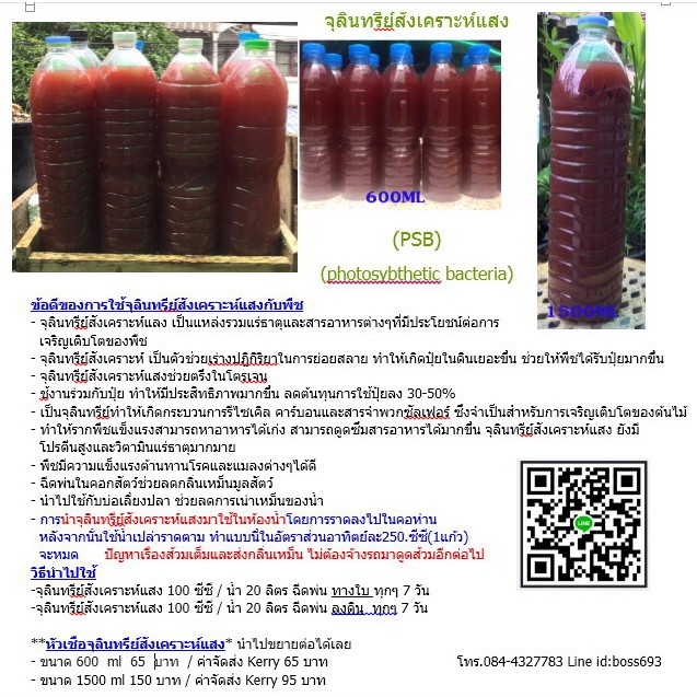 (Ninja PSB)  จุลินทรีย์สังเคราะห์แสง 600 CC