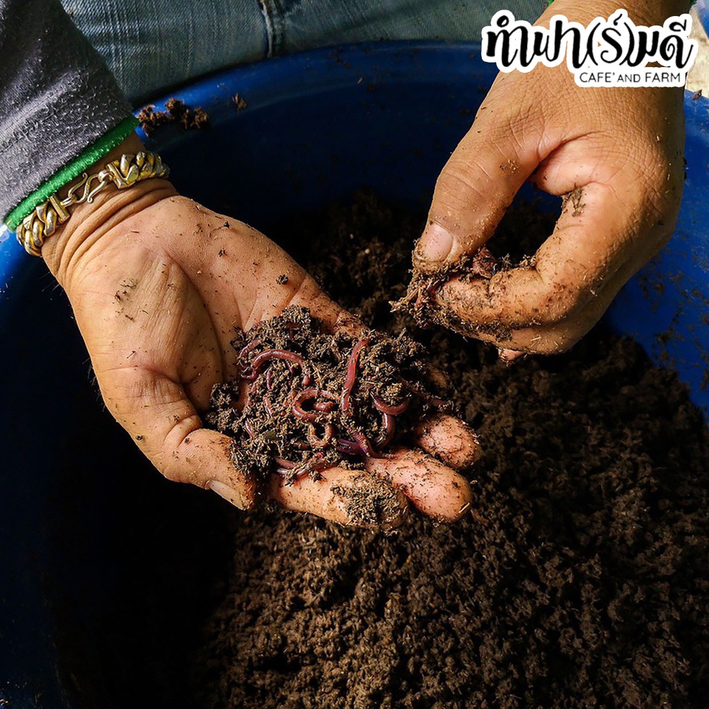 มูลไส้เดือนแท้ 100% ปลอดสารเคมี อินทรีย์แท้ 5 กก. - รูปที่ 2