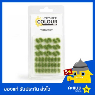 หญ้า Citadel Colour Tufts: Verdia Veldt