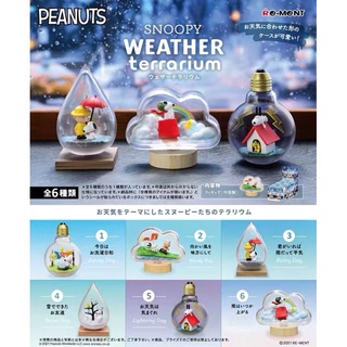 rement snoopy สนุปปี้ รีเม้น รีเม้นท์ weather terrarium