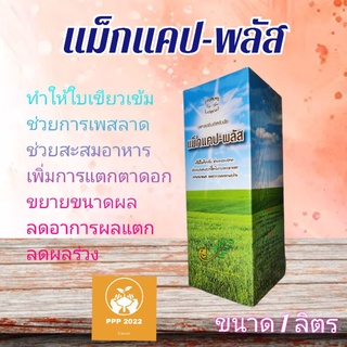 แม็กแคป-พลัส(Maxcab-Plus)