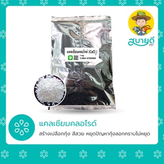 แคลเซียมคลอไรด์ Calcium Chloride 1 กก. สร้างเปลือกกุ้ง สีสวย หยุดปัญหากุ้งลอกคราบไม่หยุด สบายดีซัพพลายแอนด์โค