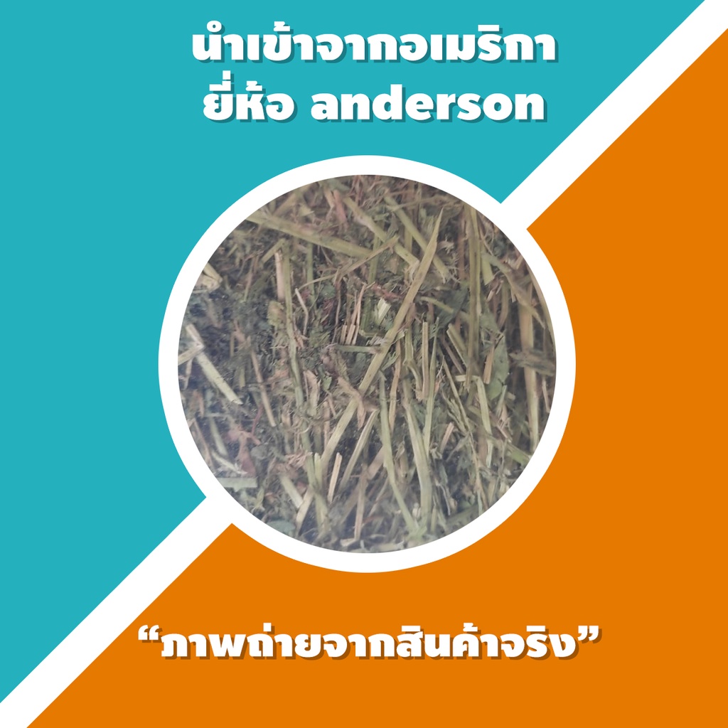 ลด40%ในliveอัลฟาฟ่าก้านยาว บรรจุถุงซิปล็อคอย่างดี รูปที่ 5