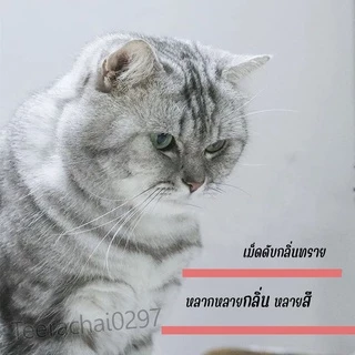 เม็ดดับกลิ่นทรายแมว 6 กลิ่น​ เม็ดดูดกลิ่นในกระบะทราย ที่ระงับกลิ่น