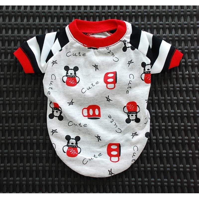 เสื้อน้องหมาสีขาว *เบอร์ 3* by Chong Fong Shop Shopee Thailand