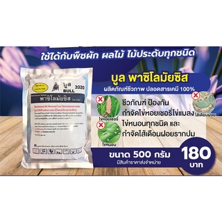 บูล พาซิโลมัยซิส 500g. เชื้อพาซิโลมัยซิส ป้องกัน กำจัด ไข่หอยเชอรี่ แมลงศัตรูพืช ไส้เดือนฝอยรากปม 500g