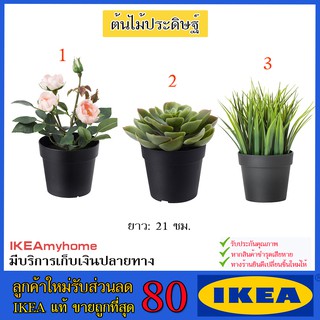 💥IKEA💥 ของแท้ ขายถูกที่สุด ไม้ประดิษฐ์ในกระถาง, ใน/นอกอาคาร หญ้า, 9 ซม.