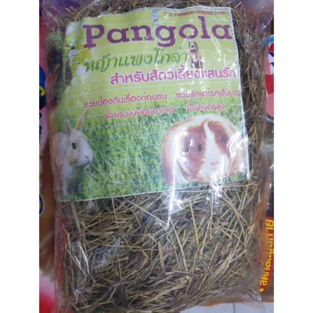 👈หญ้าแพงโกล่า สำหรับสัตว์เลี้ยงแสนรัก หนู นก กระต่าย ไก่
