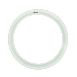 ✨นาทีทอง✨ PHILIPS หลอดไฟเพดานกลม LED G10Q รุ่น LED CIRCULAR กำลัง 20 วัตต์ Cool Daylight 🚚พิเศษ!!✅