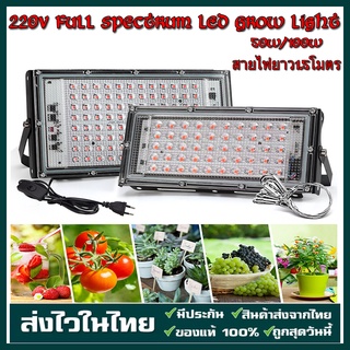 220V LED Grow Light 50W/100W ไฟปลุกต้นไม้ ไฟช่วยต้นไม้ตัวเร็ว มีสวิตช์ปิดเปิด สายไฟยาว1.5โมตร ไฟต้นไม้ ไฟเลี้ยงต้นไม้