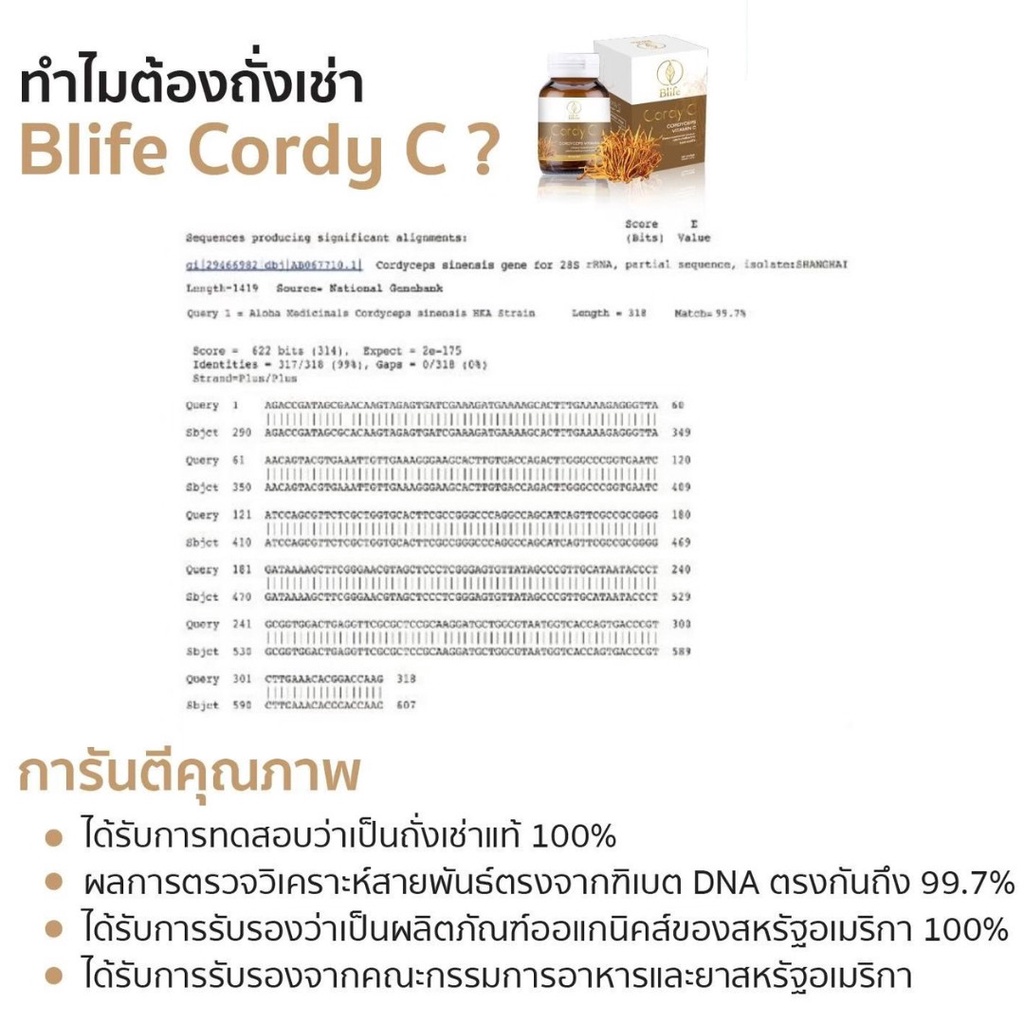 Blife Cordy C ไบล์ฟ คอร์ดี้ซี ยาอายุวัฒนะ สุขภาพที่ดี - rohidamasoh ...
