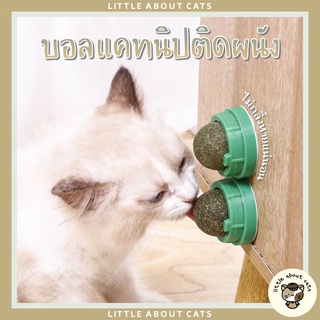 กัญชาแมว แคทนิปบอล ติดกำแพง ไม่กลิ้งหาย catnip ball แมวฟิน บอลแมว สมุนไพรแมว หญ้าแมว