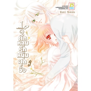 หนังสือการ์ตูน เรื่อง ½ ตกหลุมรักหนุ่มสุดวิ้ง เล่ม 9