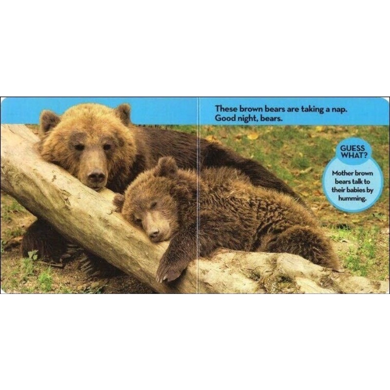 หนังสือบอร์ดบุ๊คสำหรับเด็ก National Geographic Kids Look & Learn เซต 12 เล่ม - รูปที่ 5