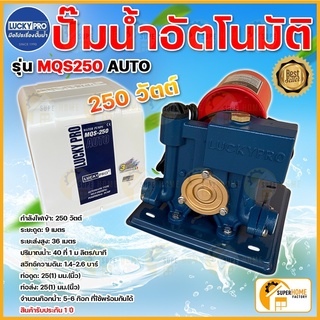 LUCKY PRO ปั๊มน้ำ ปั๊มน้ำอัตโนมัติ แบบมีฝาครอบ ขนาด 250 วัตต์ รุ่น MQS250 AUTO