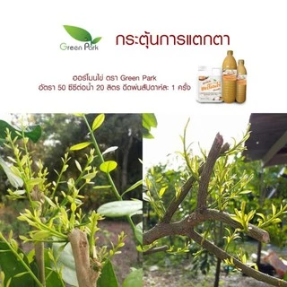 ฮอร์โมนไข่ ขนาด 1 ลิตร ตรา green park สูตรเข้มข้น แช่เมล็ด เร่งราก แตกตา ดอก ผล ดก ต้านทานโรค เพิ่มผลผลิต เพิ่มความหวาน