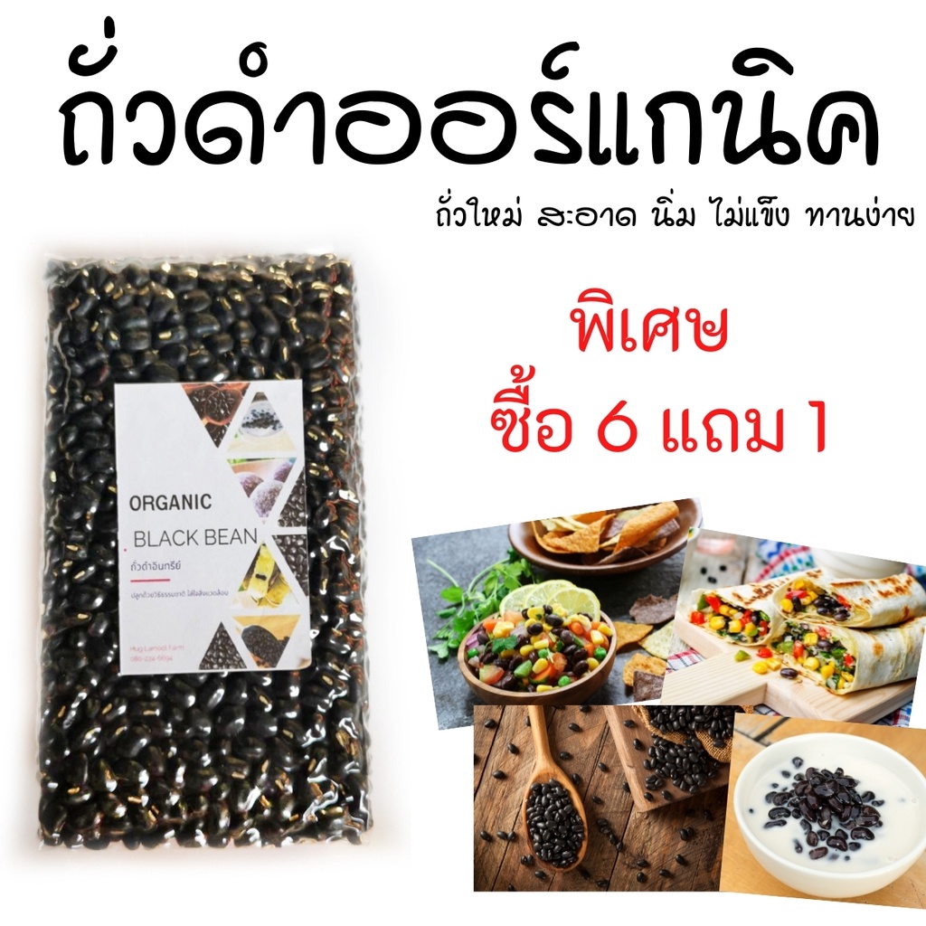 ถั่วดำ ออร์แกนิค 500กรัม ซื้อ6แถม1 สะอาด ไม่แข็ง ทานง่าย แพ็คสูญญากาศเก็บได้นาน ถั่วใหม่เพาะงอกได้ ธัญพืชเพื่อสุขภาพ
