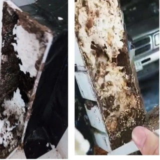 Termite Bio Bait ชุดติดตั้งเหยื่อเชื้อรากำจัดปลวก Set B อาหารปลวก กำจัดปลวกตายยกรัง