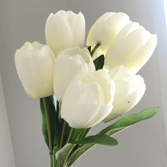 พร้อมส่ง ช่อดอกทิวลิปขาว ดอกใหญ่ ช่อละ 9 ดอก | Shopee Thailand