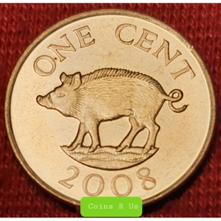 เหรียญต่างประเทศ เบอร์มิวด้า ปี 2008  ชนิด 1 cent UNC ขนาด 19 มม. หมูป่าสวยงามตามภาพ น่าสะสม