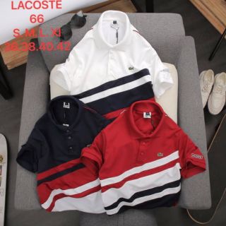 เสื้อLacoste Polo shirt