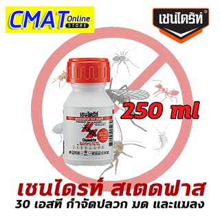 Chaindrite เชนไดร้ท์ สเตดฟาส 30 เอสซี น้ำยาฆ่าปลวก น้ำยากำจัดปลวก น้ำยากำจัดมด น้ำยากำจัดแมลงอื่นๆ ขนาด 250ml