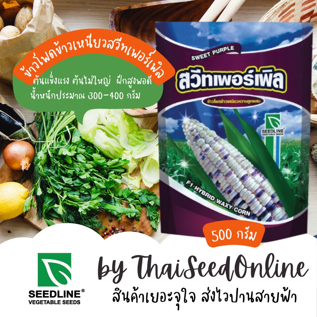 500กรัม🔥ยอดขายปีละ1ตัน🔥 หมดอายุ 5/2027 ขนาด 500 กรัม เมล็ดพันธุ์ ข้าวโพดข้าวเหนียวหวาน สวีทเพอร์เพิ้ล ตราซีดไลน์ Corn
