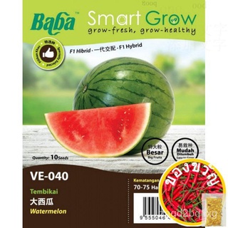 Baba Smart Grow Watermelon Seed VE-040 Vegetable Seed - Benih Tembikai Benih Sayurมะละกอ/seeds/สวน/กางเกง/มักกะโรนี/แอปเ