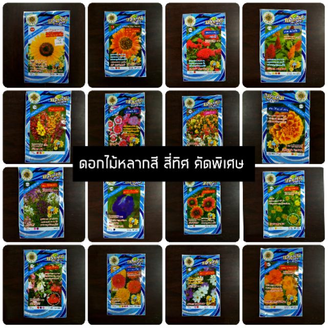 [สี่ทิศน้ำเงิน][ดอกไม้] เมล็ดพันธุ์ดอกไม้ ทานตะวัน หงอนไก่ อัญชัญ บานชื่น ดาวกระจาย บัวหลวง ตราสี่ทิศ คัดพิเศษ