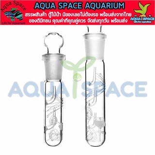 ที่ดักพลานาเรีย Glass Planaria Trap Pest Trap Worm Leech Planaria Catch Catcher สำหรับตู้ปลา ตู้ไม้น้ำ